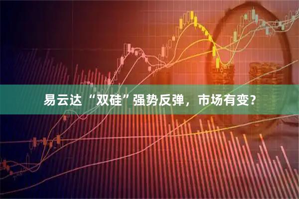 易云达 “双硅”强势反弹，市场有变？