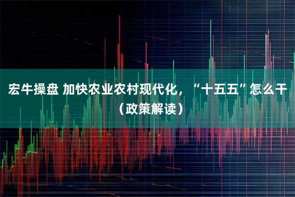 宏牛操盘 加快农业农村现代化，“十五五”怎么干（政策解读）