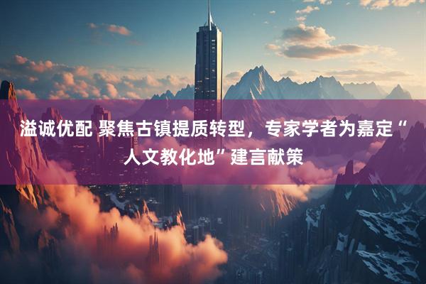 溢诚优配 聚焦古镇提质转型，专家学者为嘉定“人文教化地”建言献策